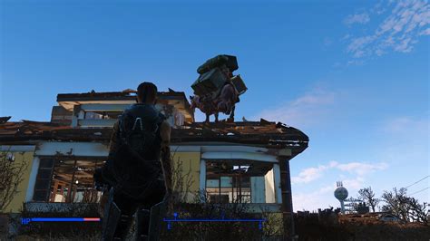 fallout 4 brahmin on roof.